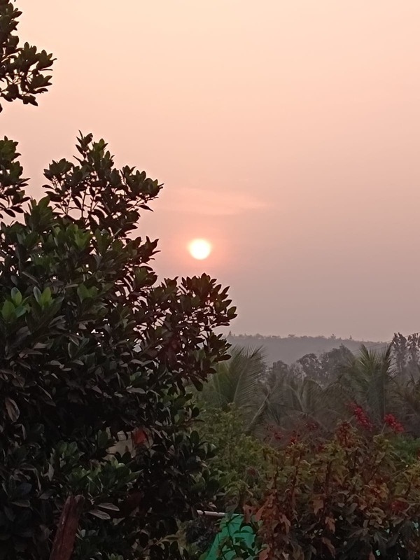 WhatsApp Image 2026-05-25 at 20.17.19 (2)