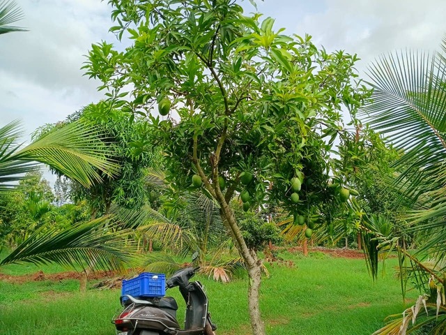 WhatsApp Image 2026-05-25 at 20.18.08 (3)