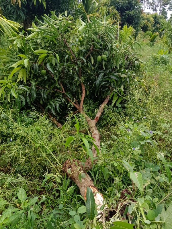 WhatsApp Image 2026-05-25 at 20.27.19 (1)